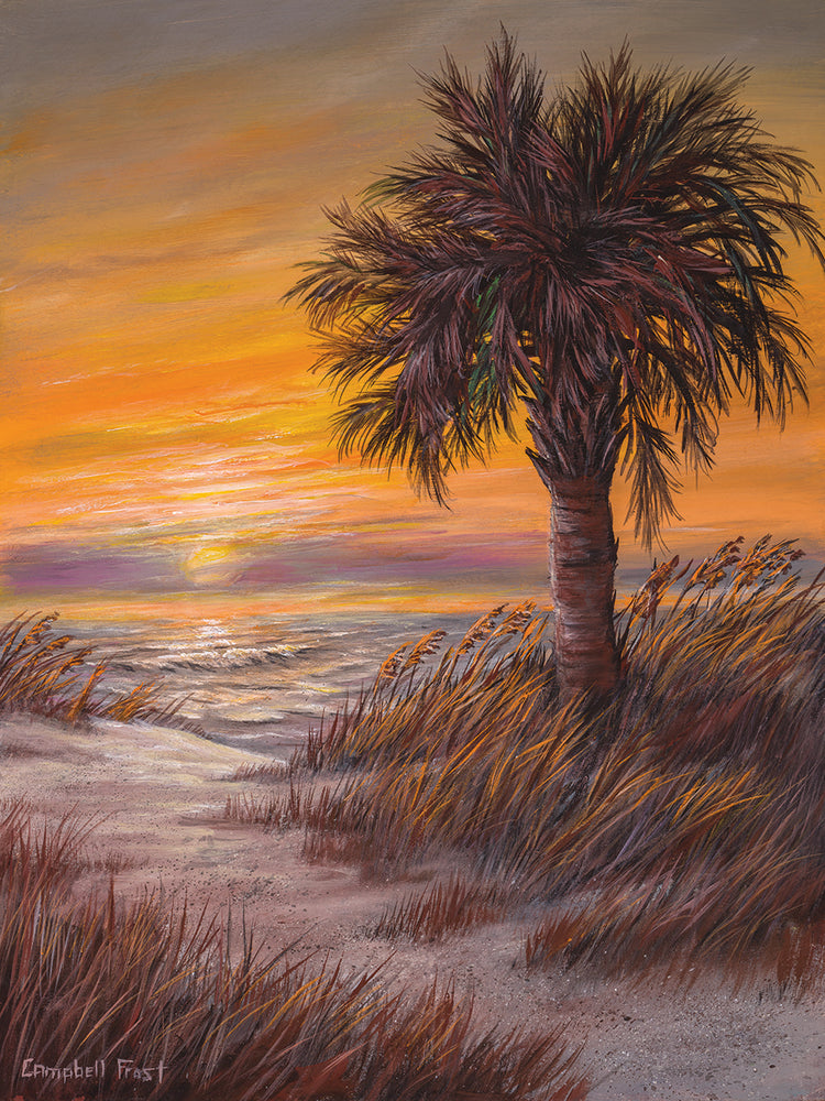 Palmetto Sunrise