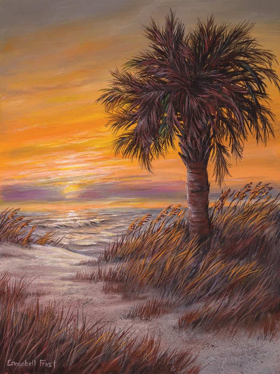 Palmetto Sunrise