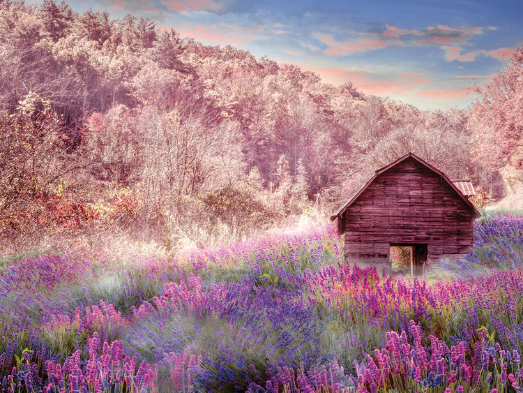 Old Wildflower Barn along the Country Roads