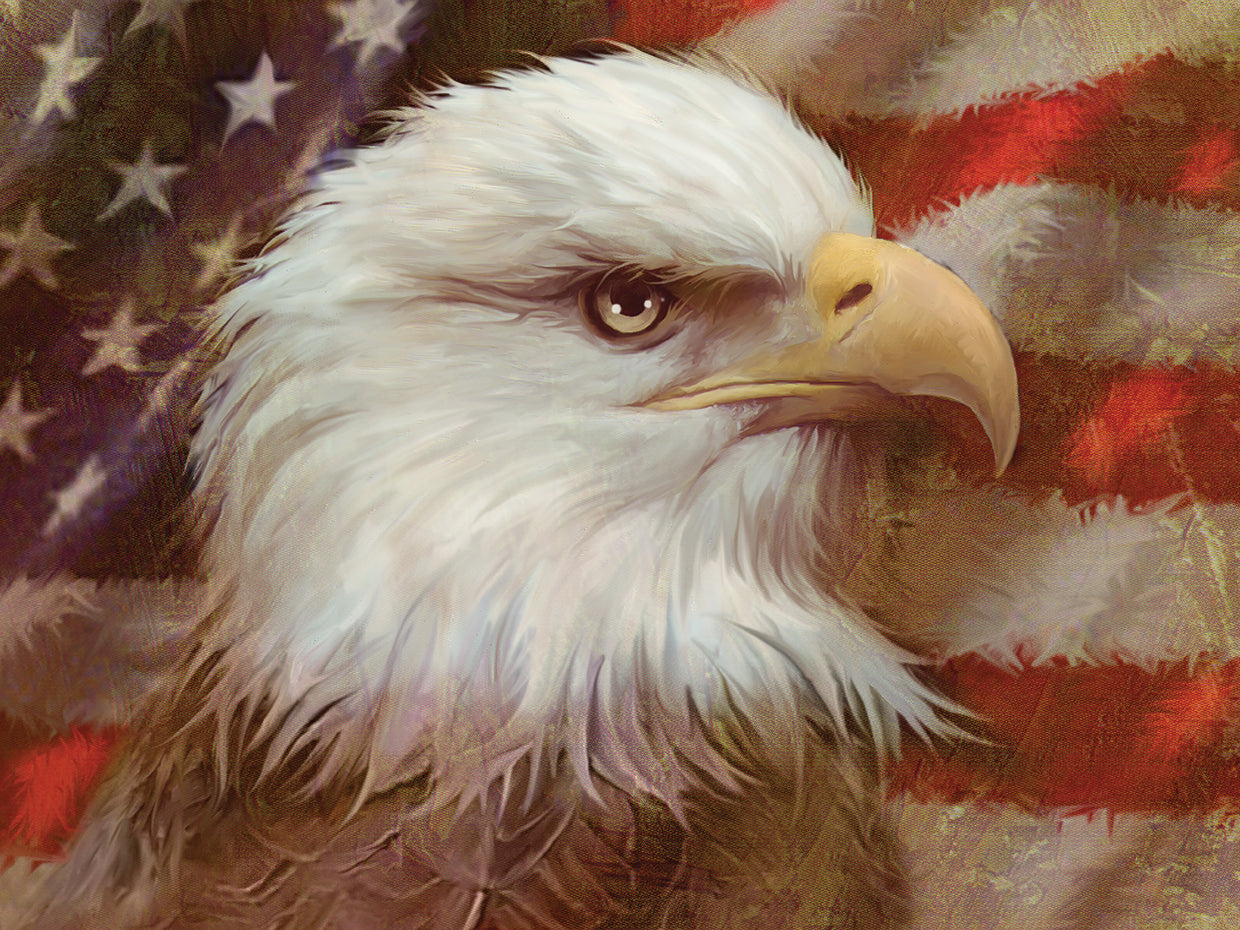 Eagle And Flag
