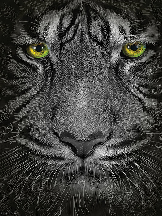 Golden Eyes Tiger