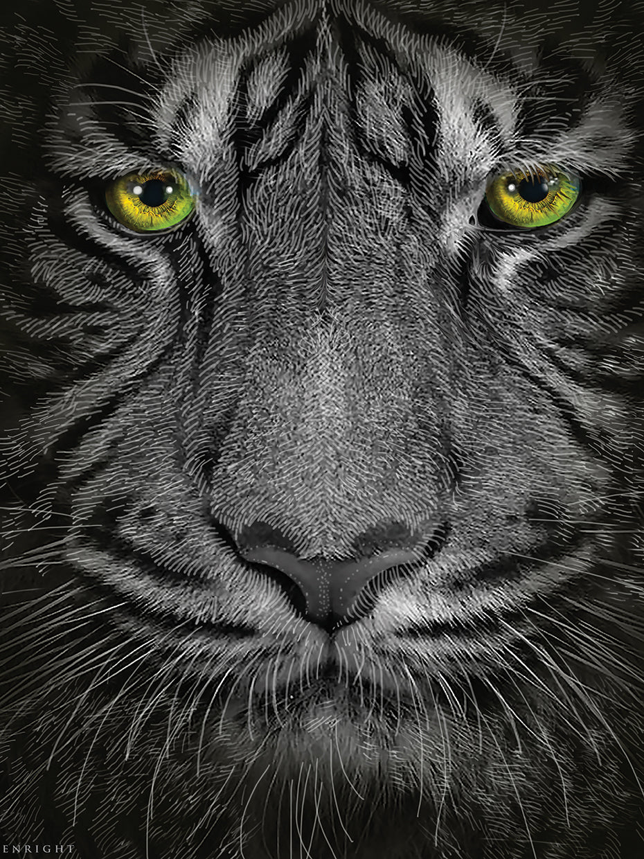 Golden Eyes Tiger