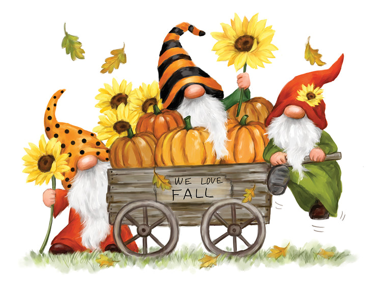 Fall Gnomes
