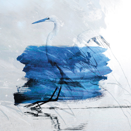 The Blue Beak By Canvas Print