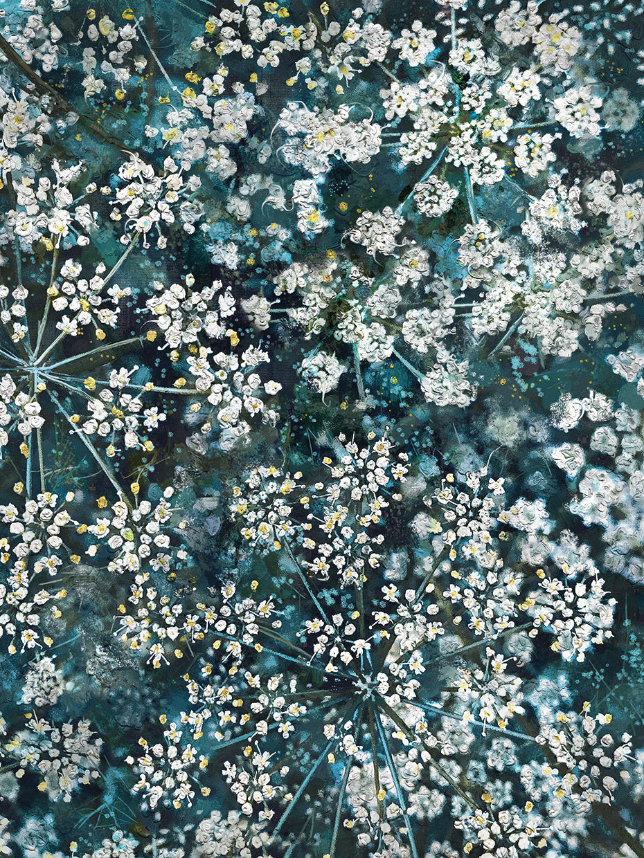 Burst of Summer