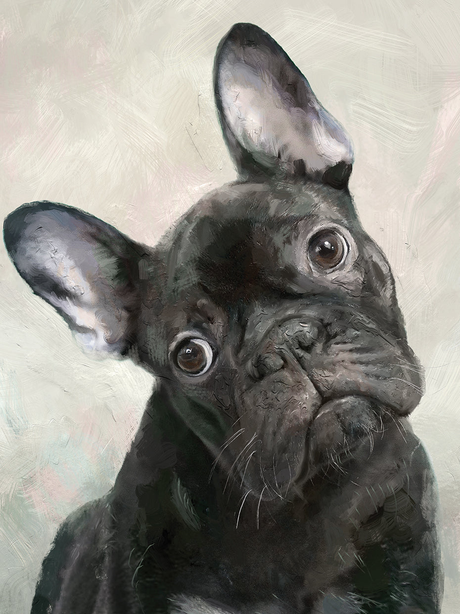 Frenchie