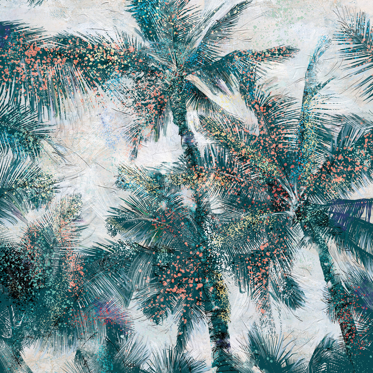 Jackson's Palm