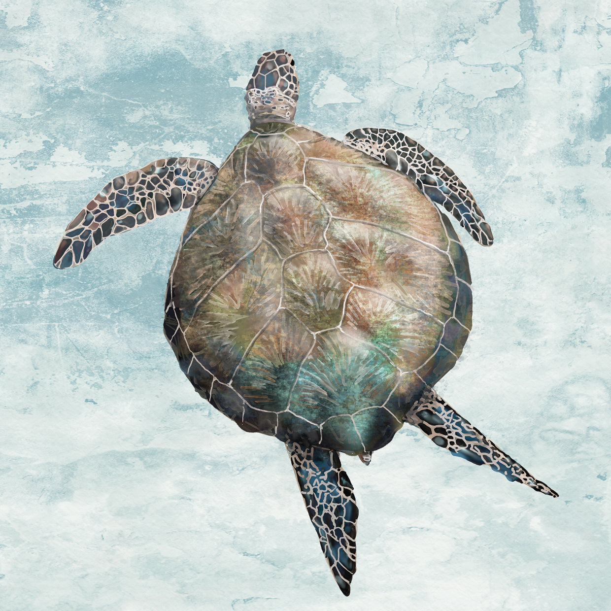 Marine Turtle II
