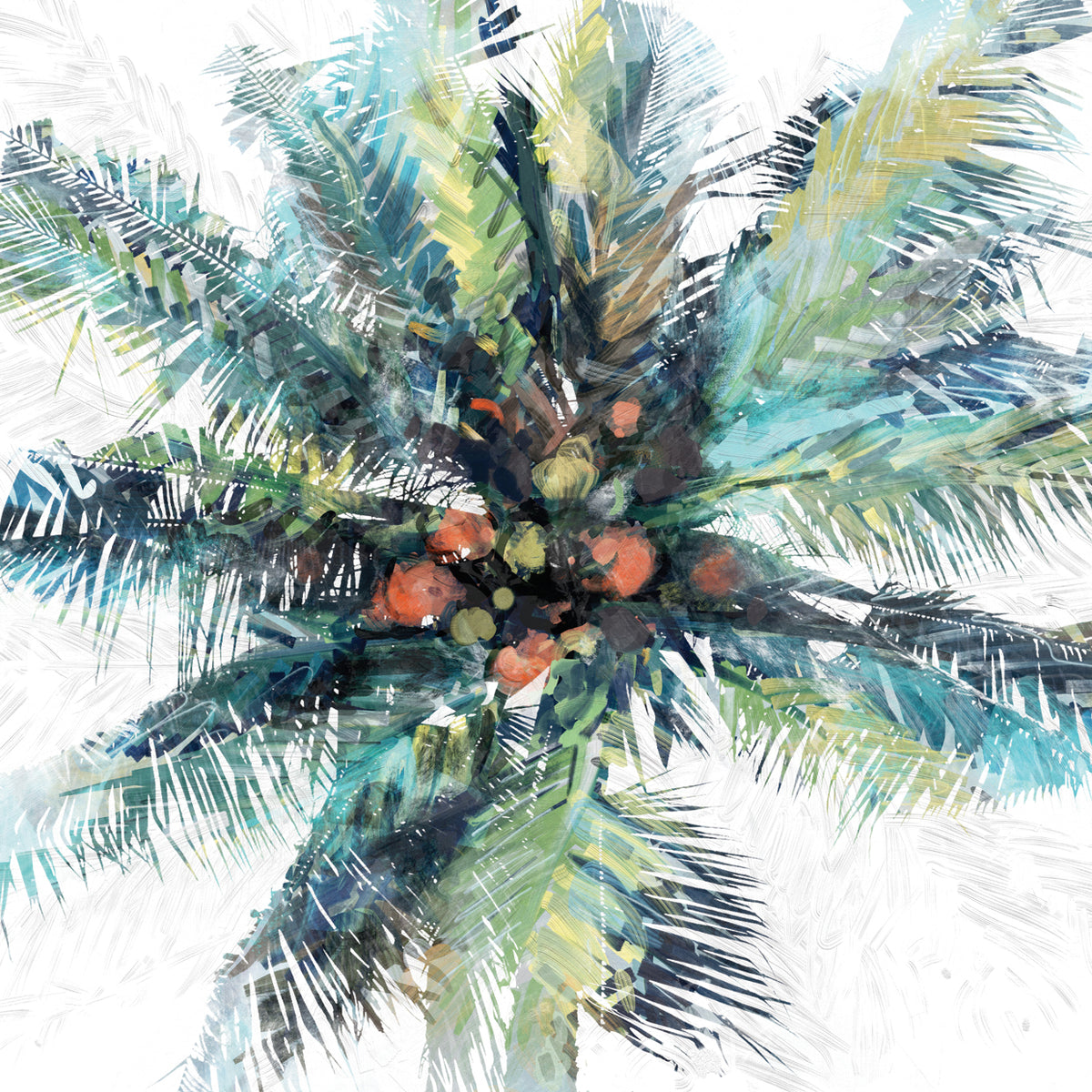Palm Study