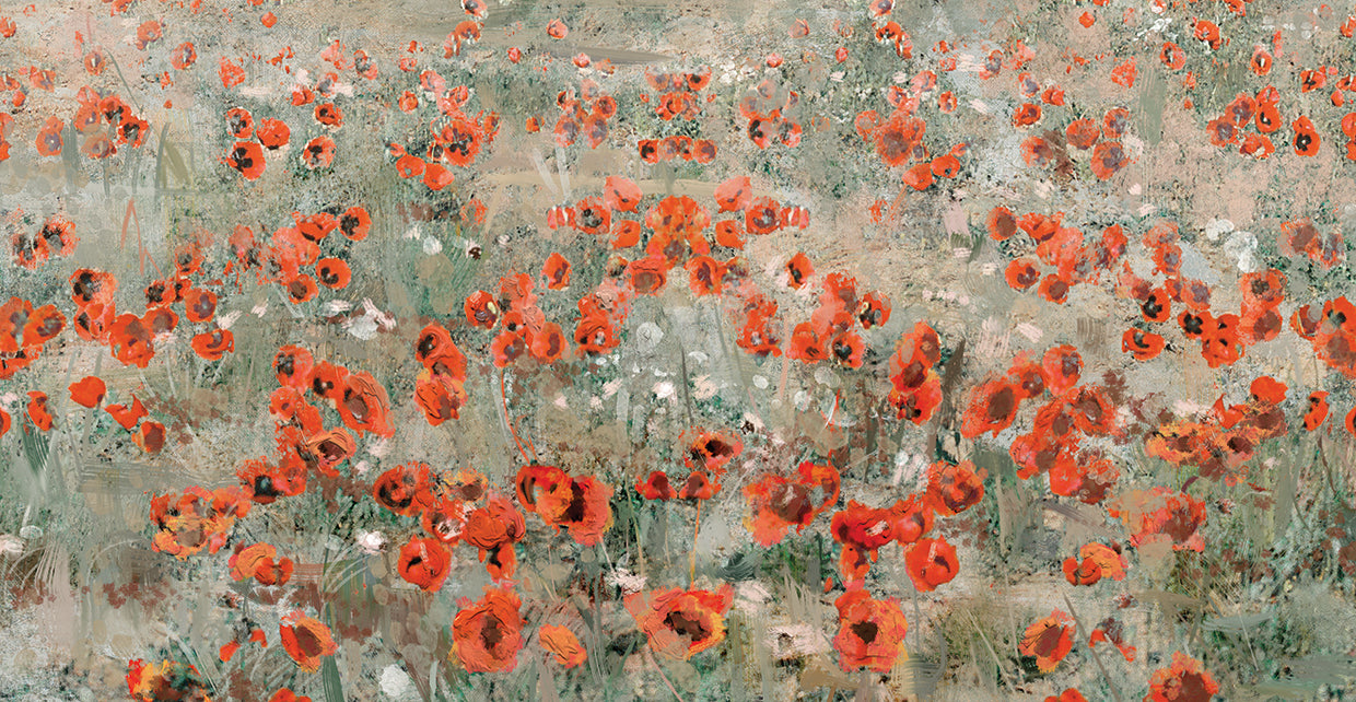 Poppy Meadow