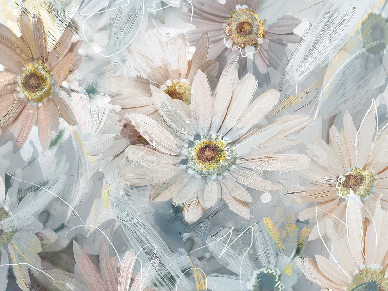 Wild Daisies