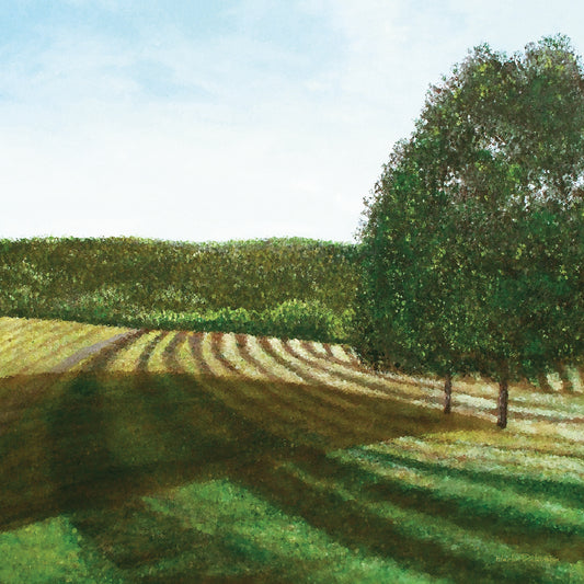 Fields Of Virginia Canvas Print