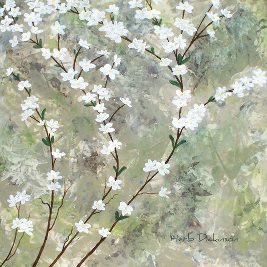 Pear Blossoms Canvas Print