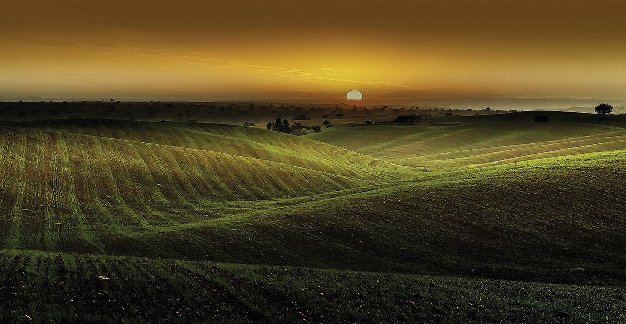 Alentejo Sunset