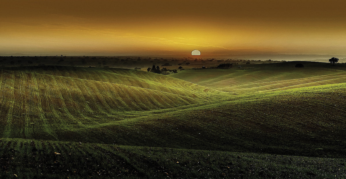 Alentejo Sunset