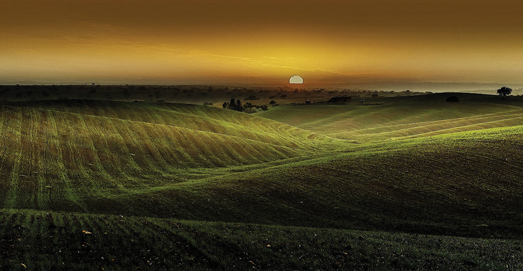 Alentejo Sunset
