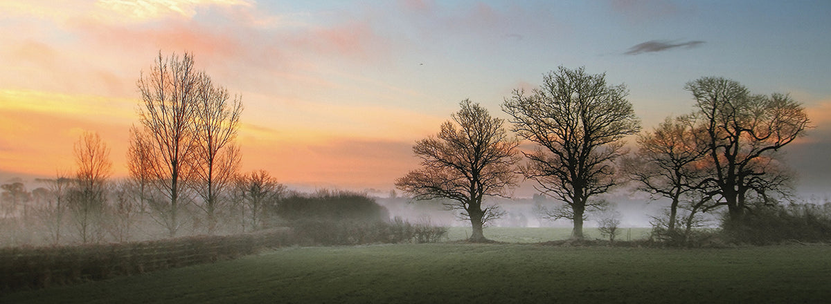 The Mist