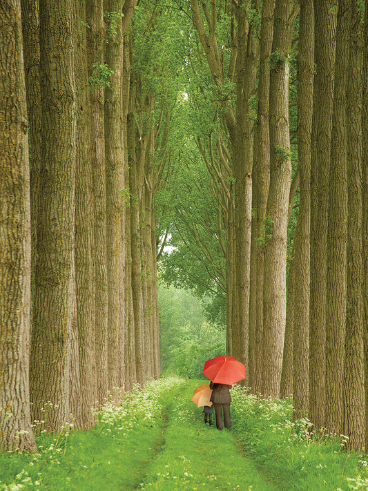 Two Umbrellas, Belgium