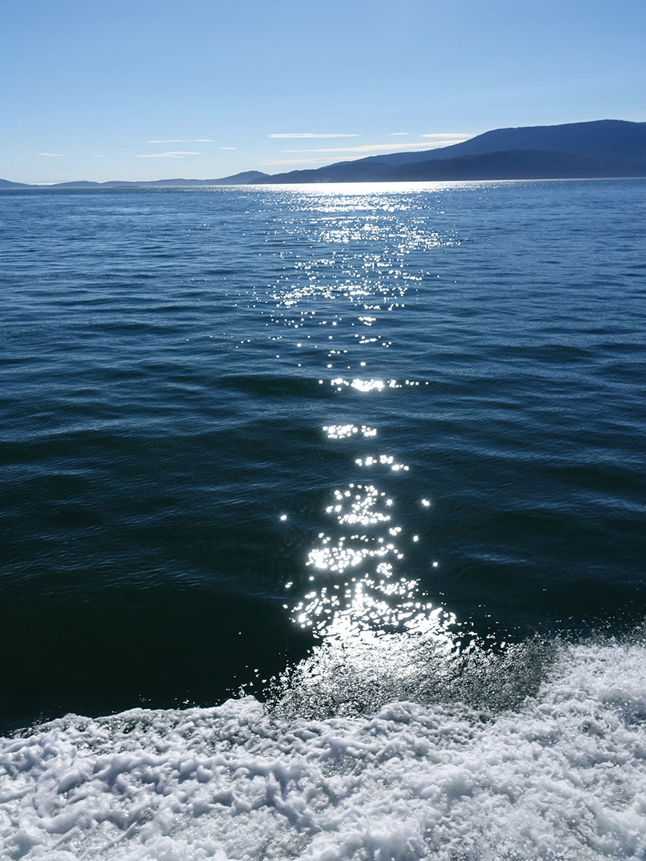Sparkling Sea 2