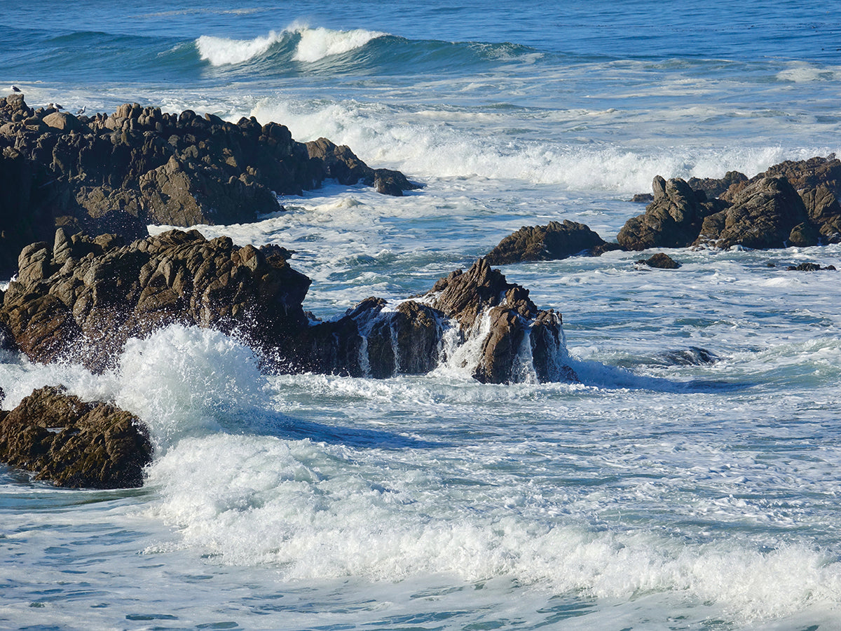 The Pacific