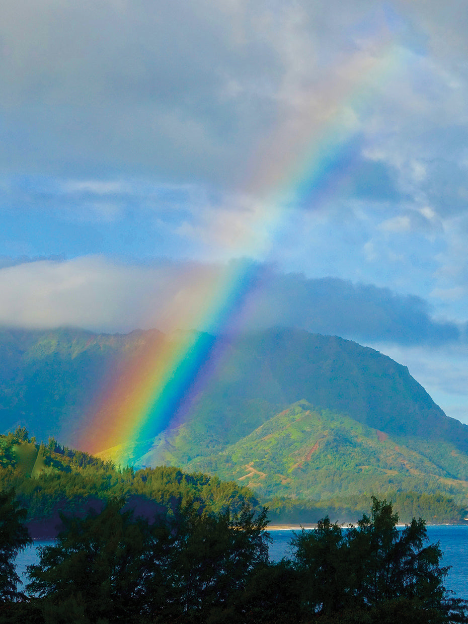 The Rainbow