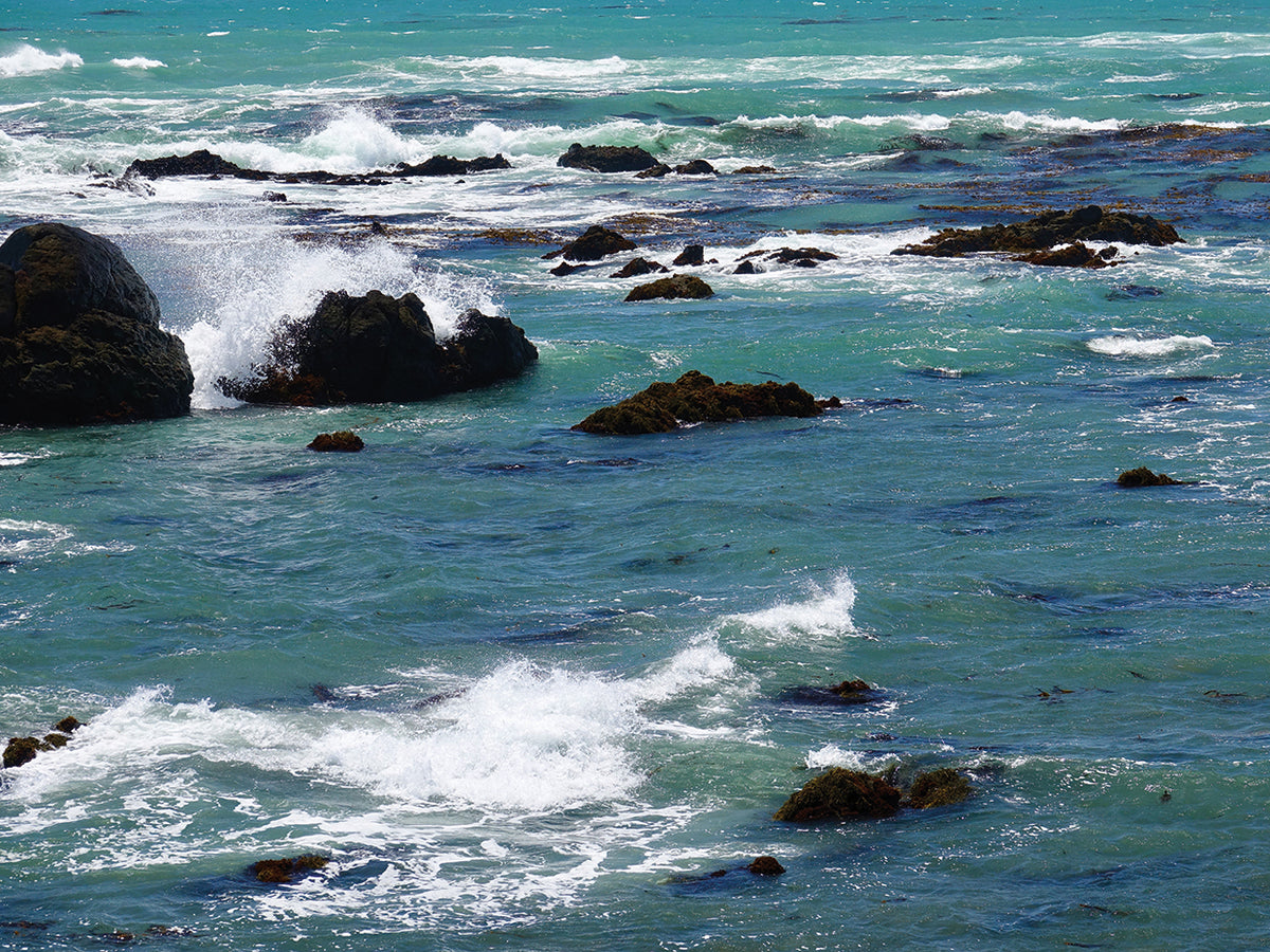 The Wild Sea