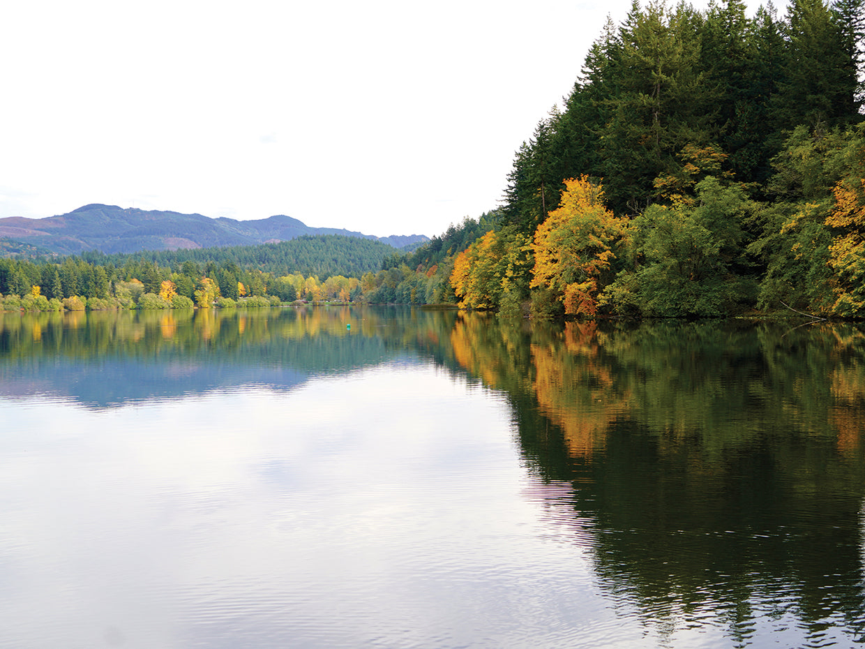 Autumn Reflections 1