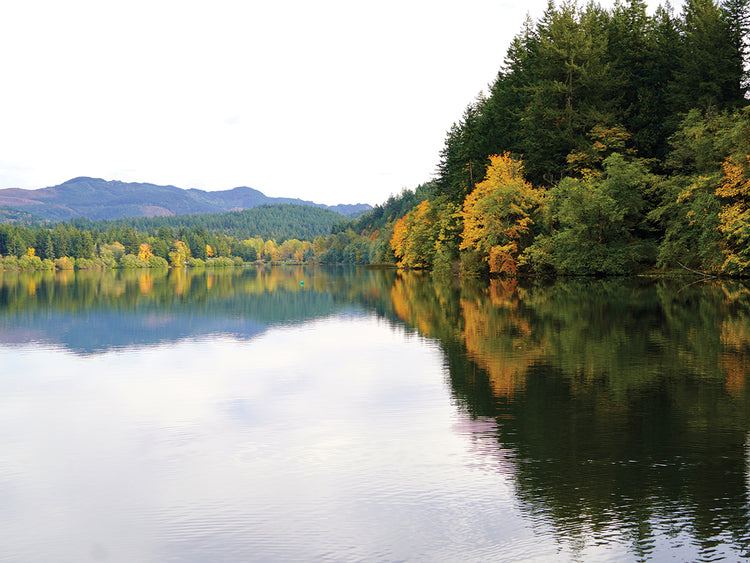 Autumn Reflections 1