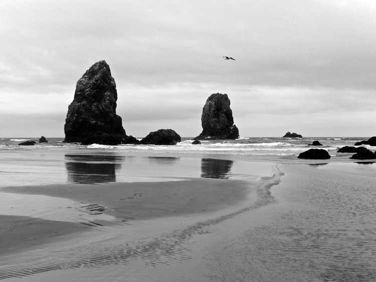 Cannon Beach B&w