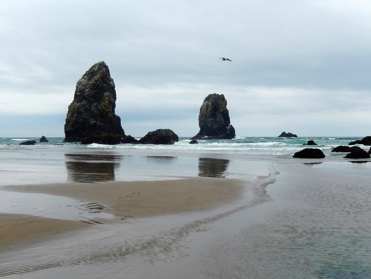 Cannon Beach
