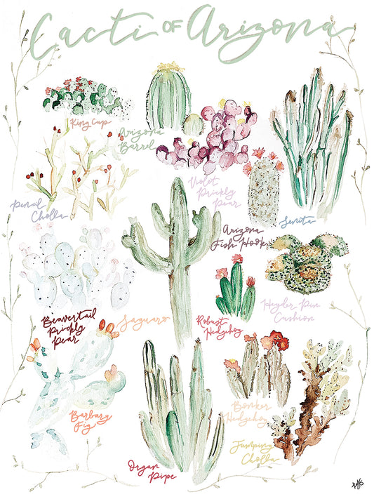 Cacti Of Arizona