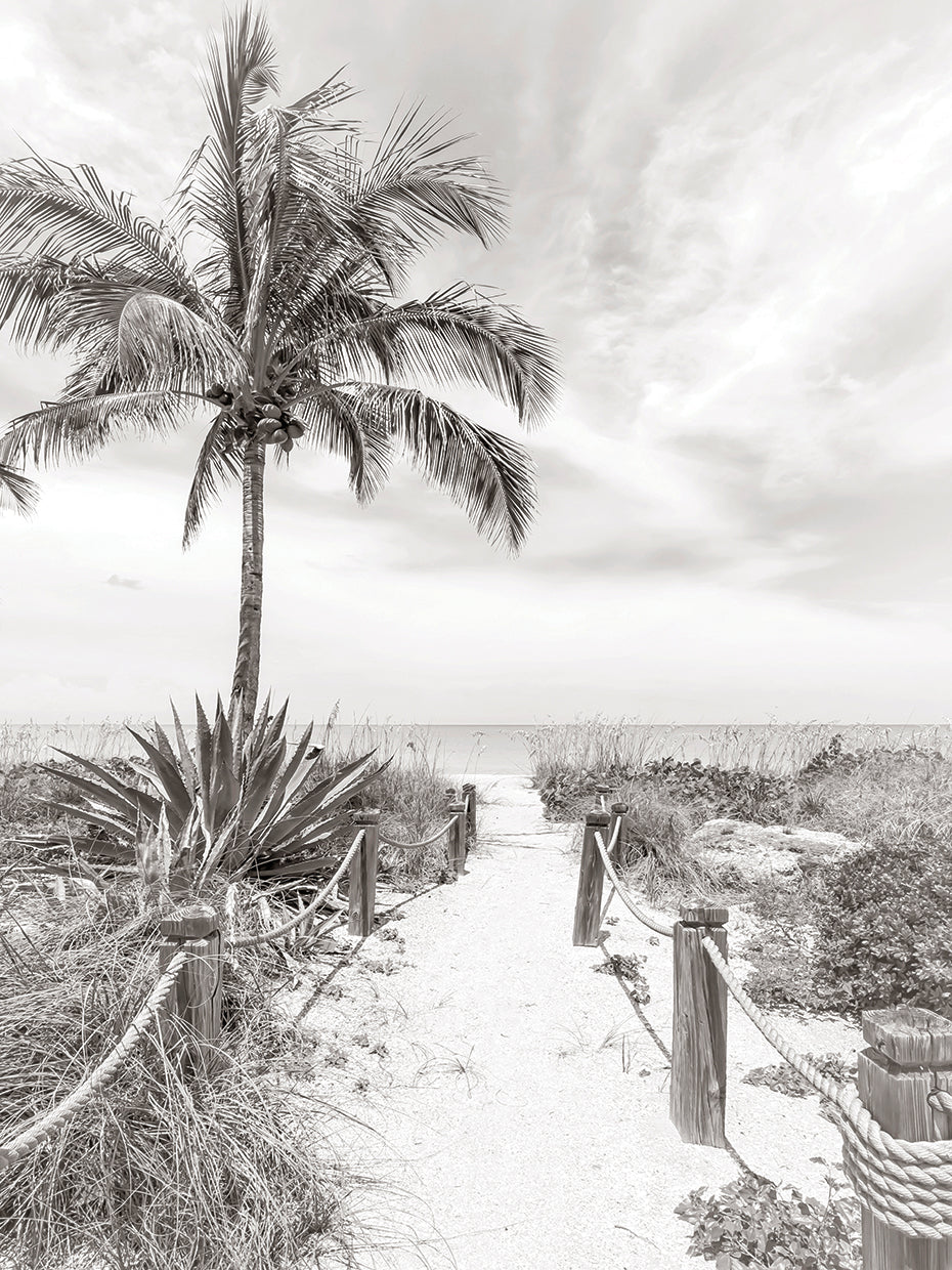 Retro path to the beach