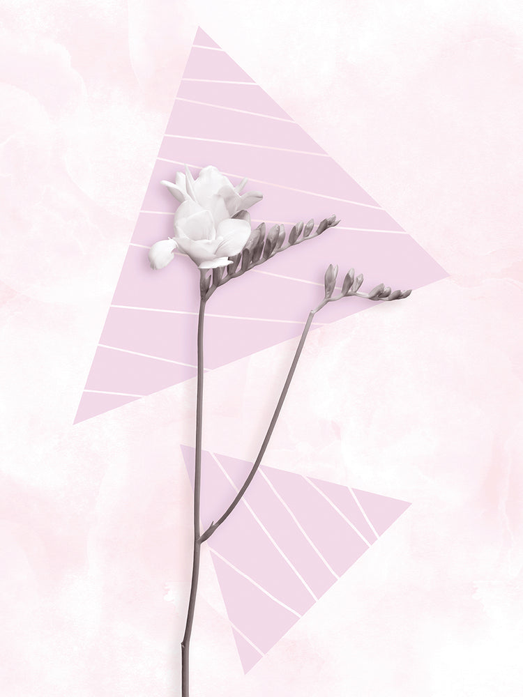 Modern Freesia Design