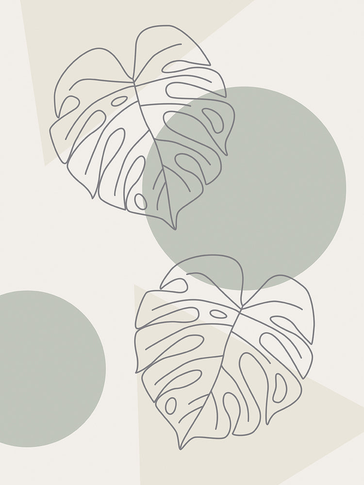 Monstera - Natural elements