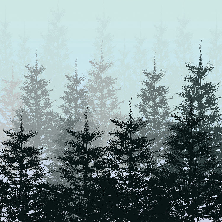 Foggy Evergreen Forest