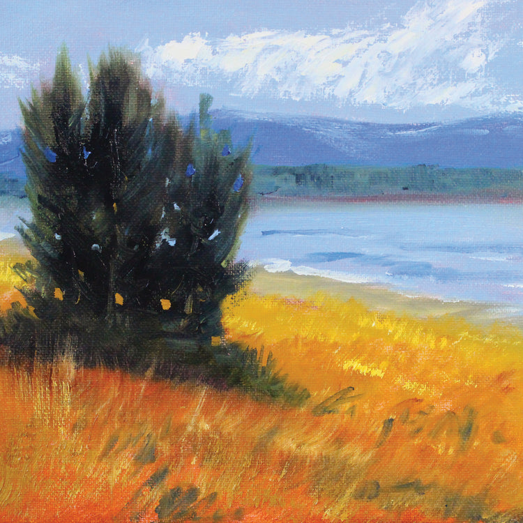 Northwest Shoreline