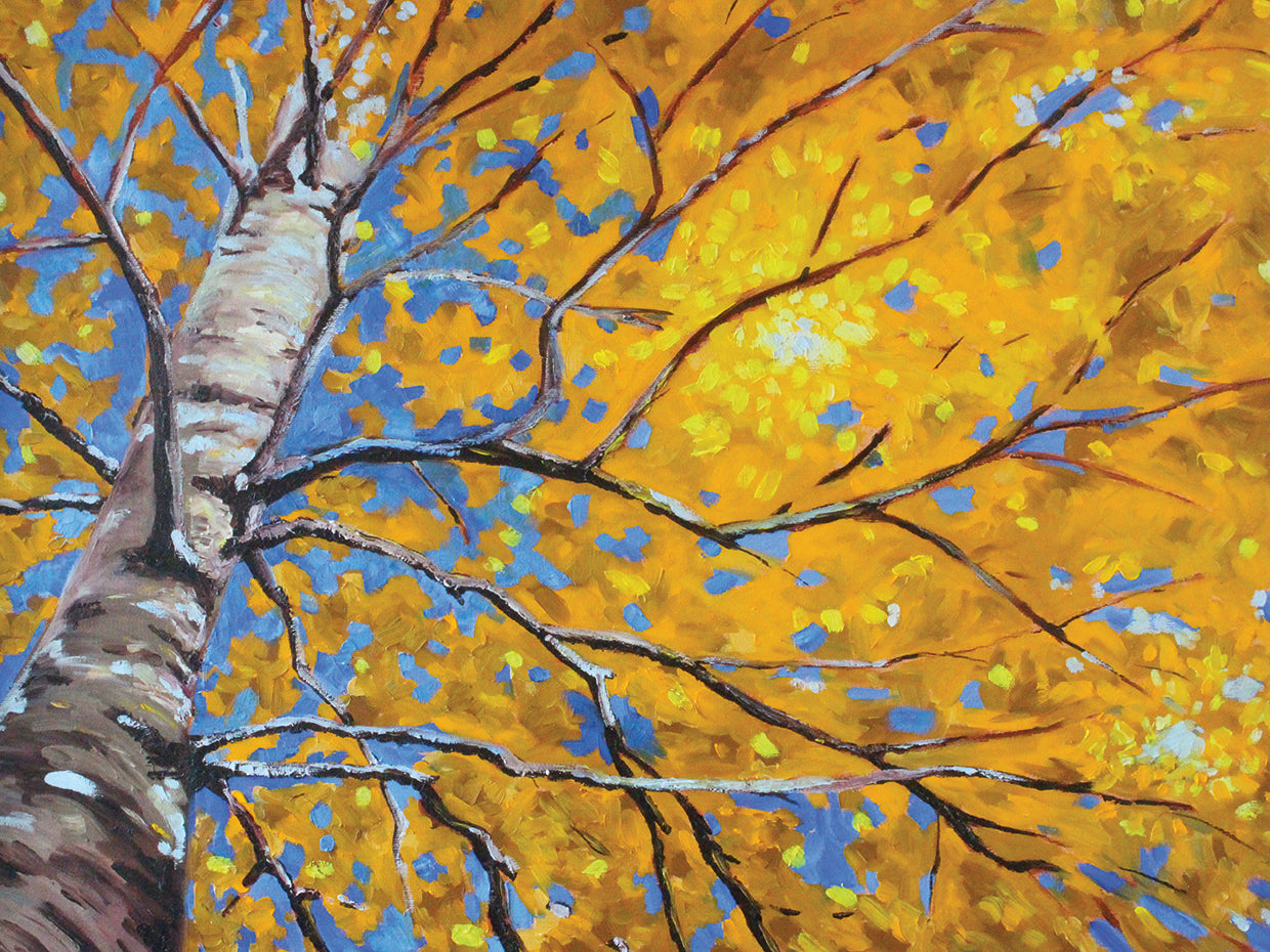 Sky Birch