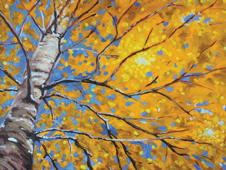 Sky Birch