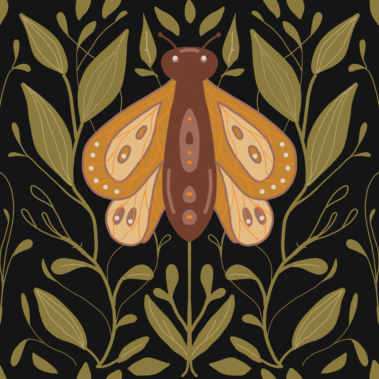 Midnight Moth