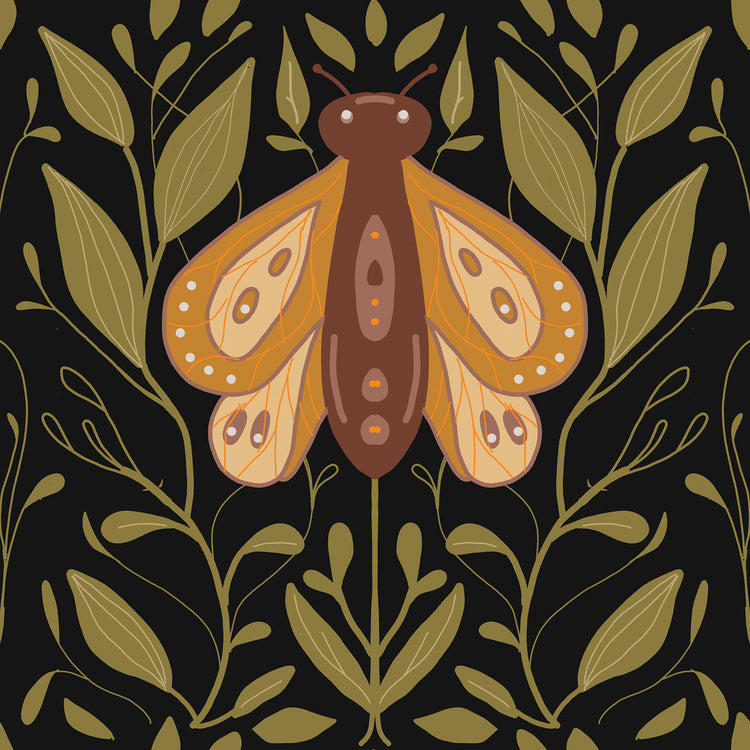 Midnight Moth