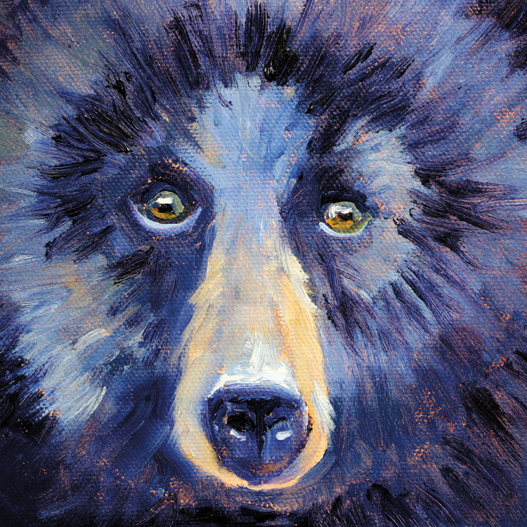 Bear Face