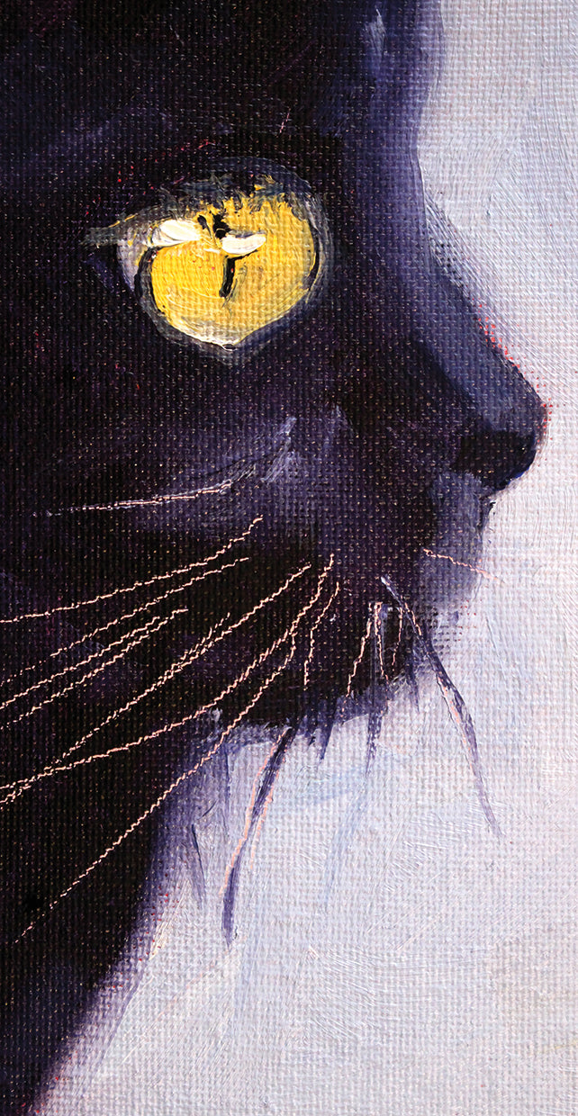 Black Cat