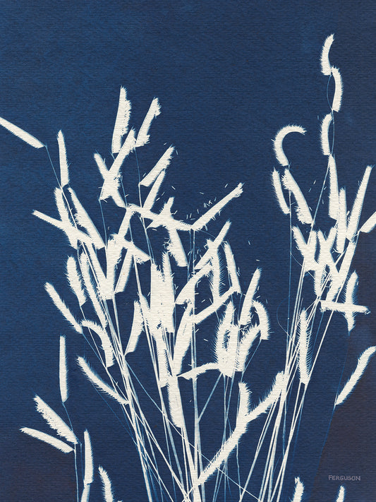 Ornamental Grass IV Canvas Print