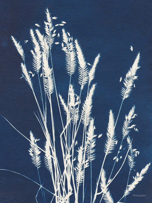 Ornamental Grass III Canvas Print