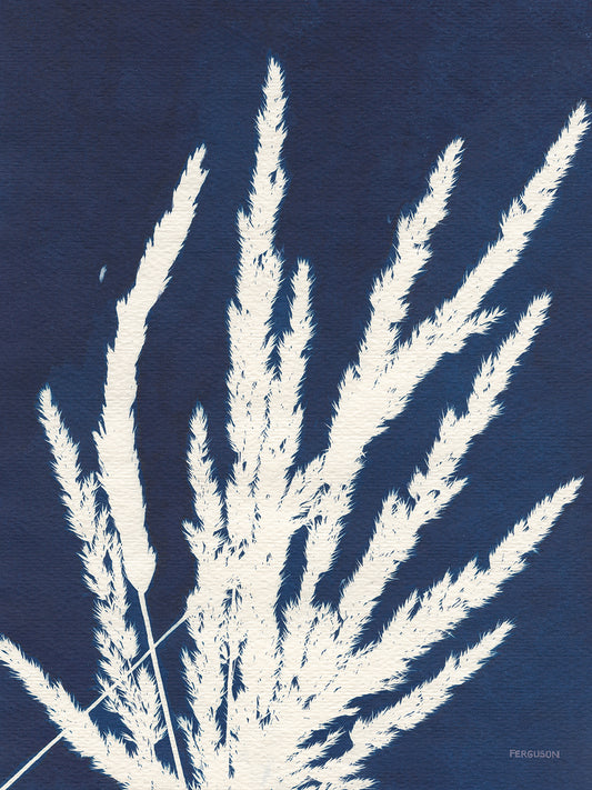 Ornamental Grass II Canvas Print
