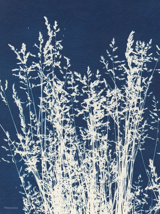 Ornamental Grass I Canvas Print