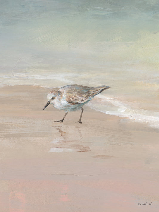 Shorebirds on the Sand III Canvas Print