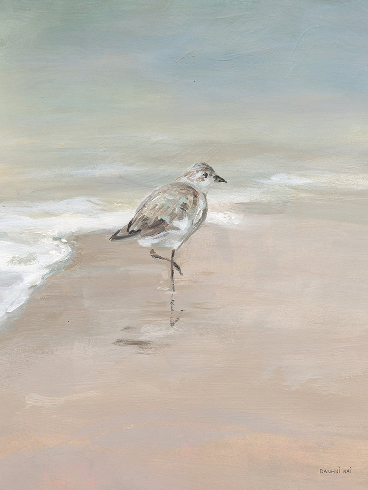 Shorebirds on the Sand II