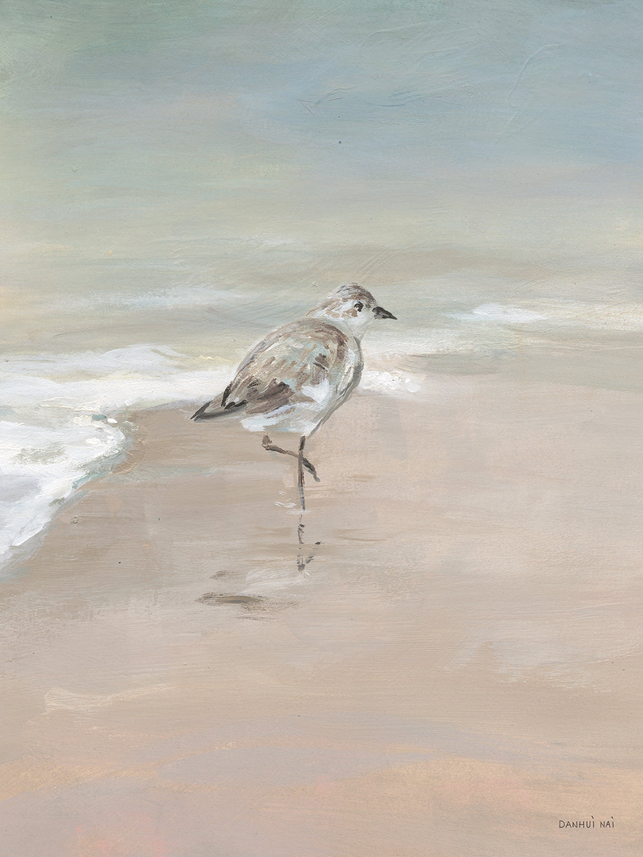 Shorebirds on the Sand II