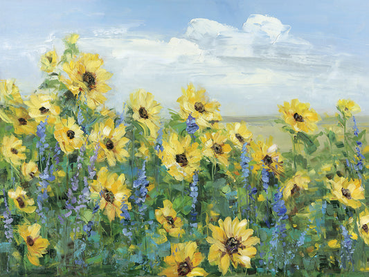 Sunflower Fields Forever Canvas Print